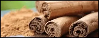 Nagano Lean Body Tonic ingredients cinnamon cassia